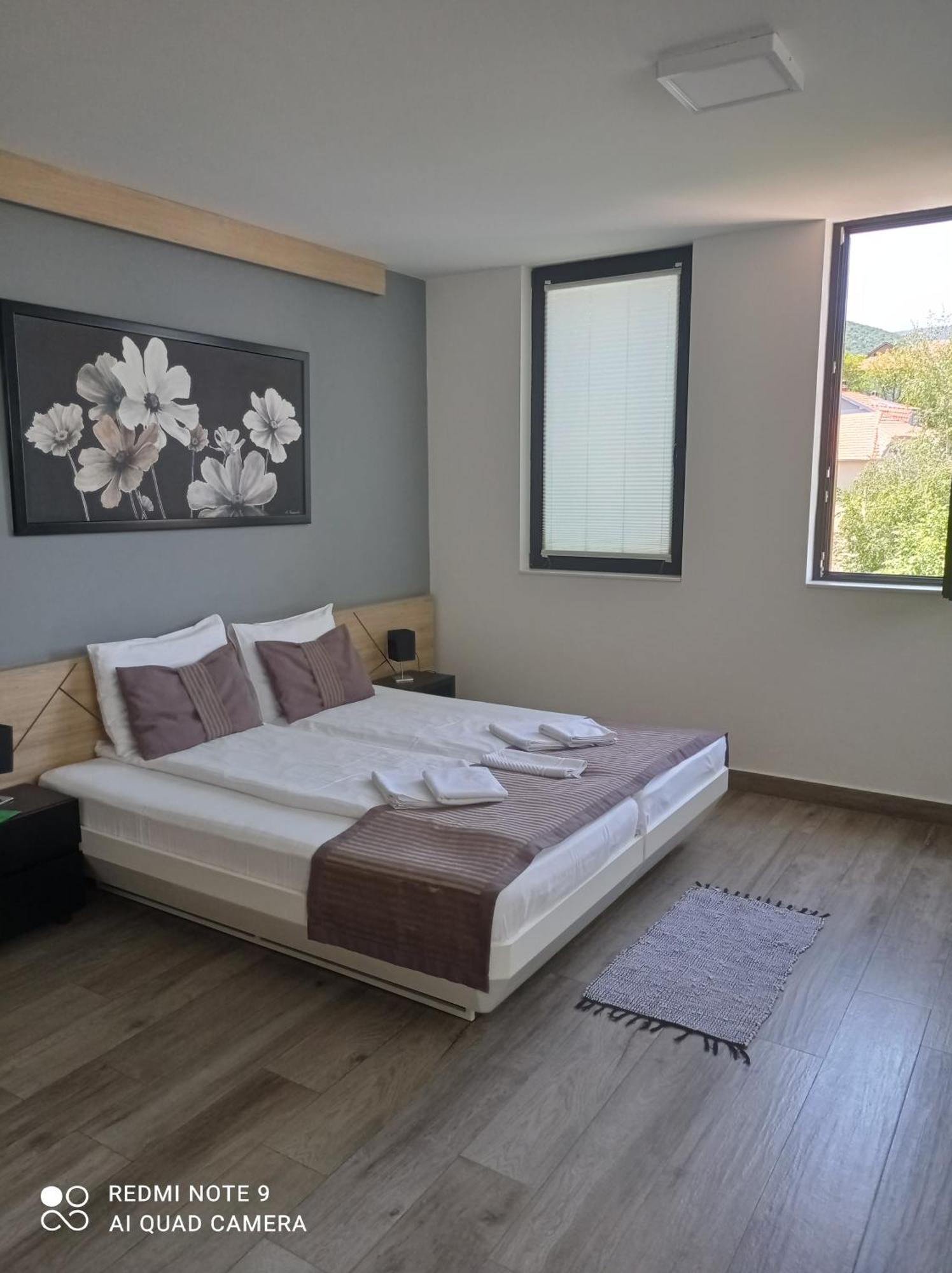 B&B Nataly 2 Soko Banja Exterior photo